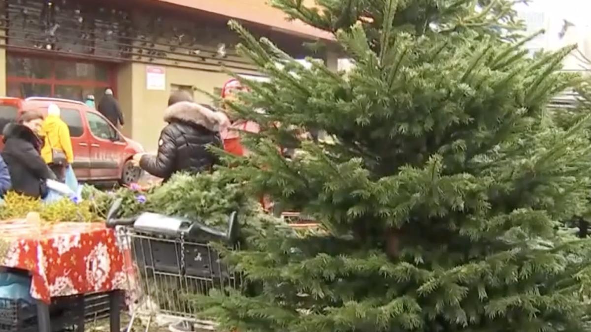 cat costa brazi o saptamana inainte craciun