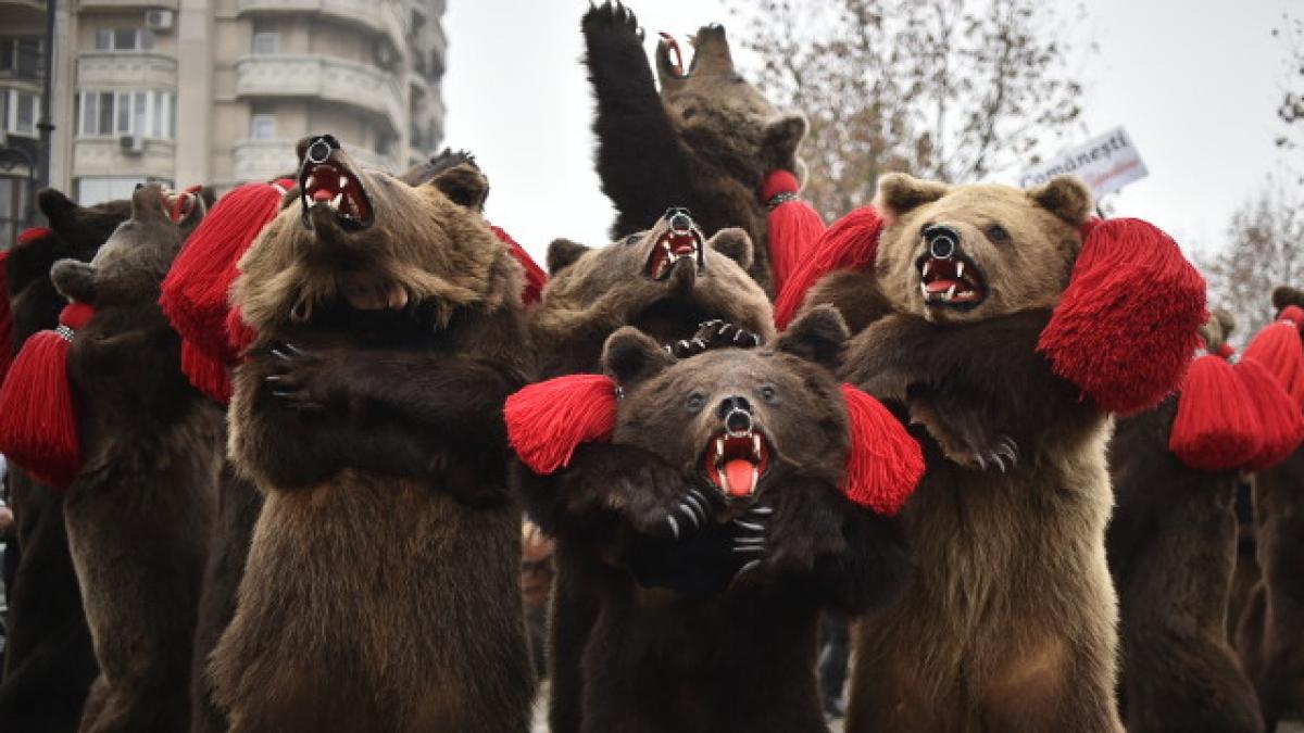 colindatori onesti tobe faclii