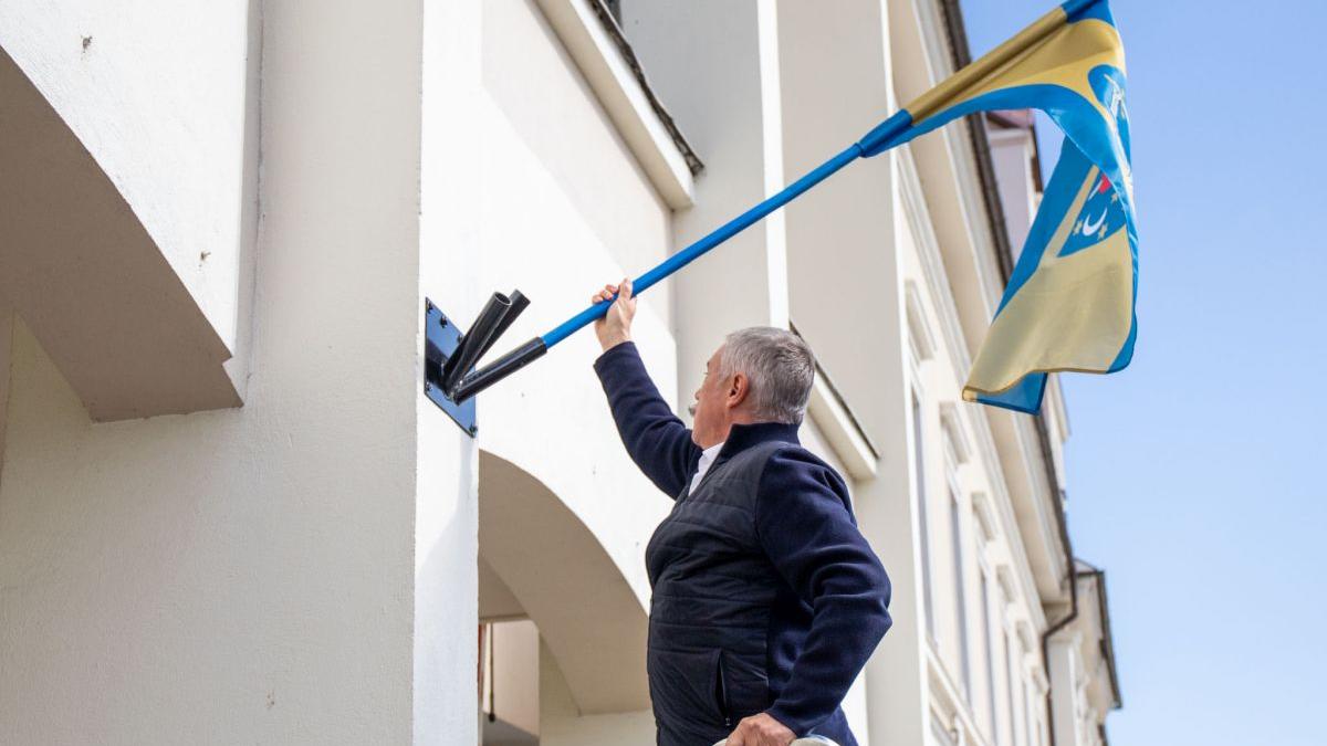 iccj steag covasna oficial