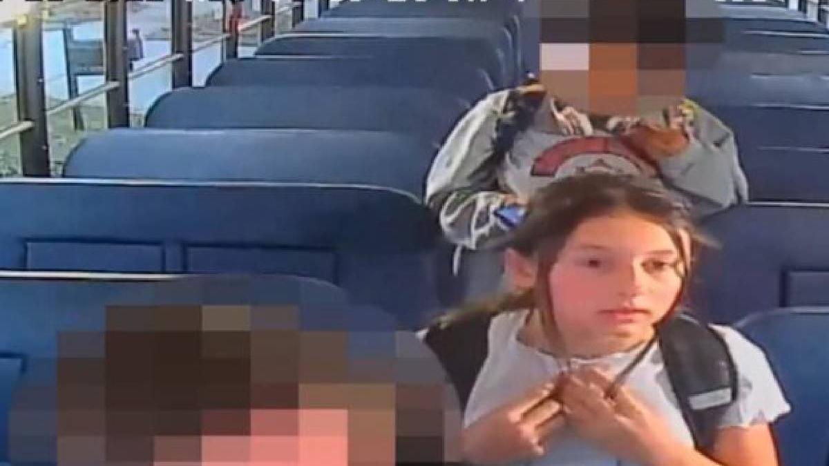 ancheta sua madalina cojocari