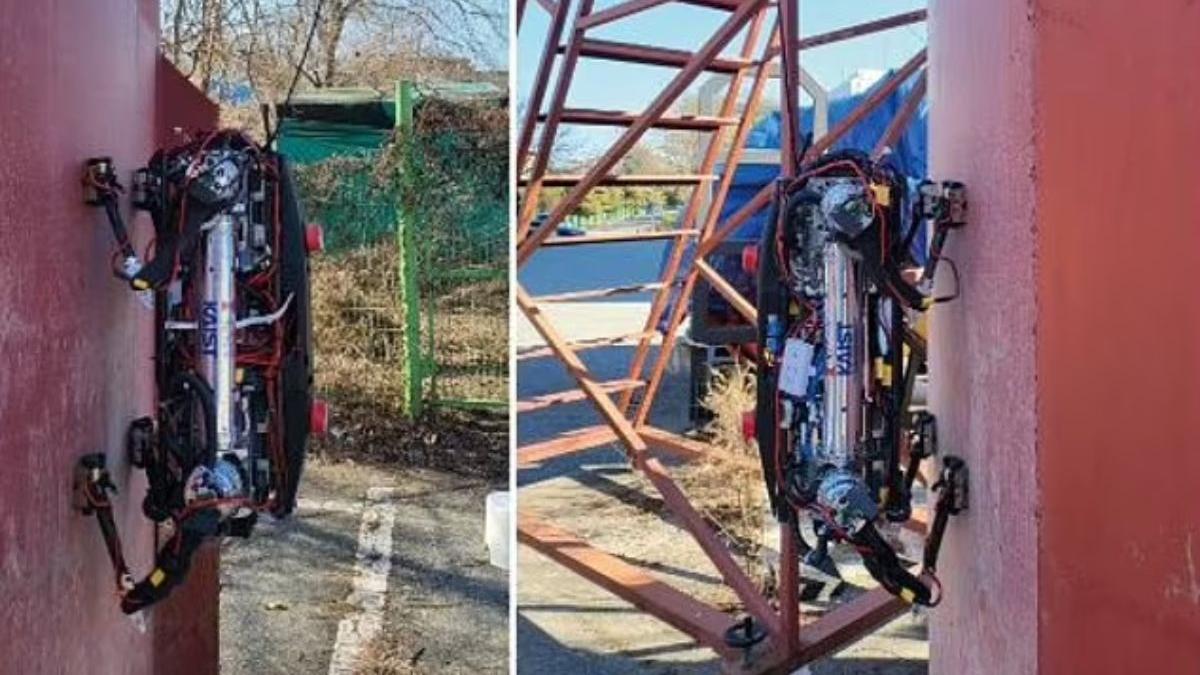 robot catara pereti tavan