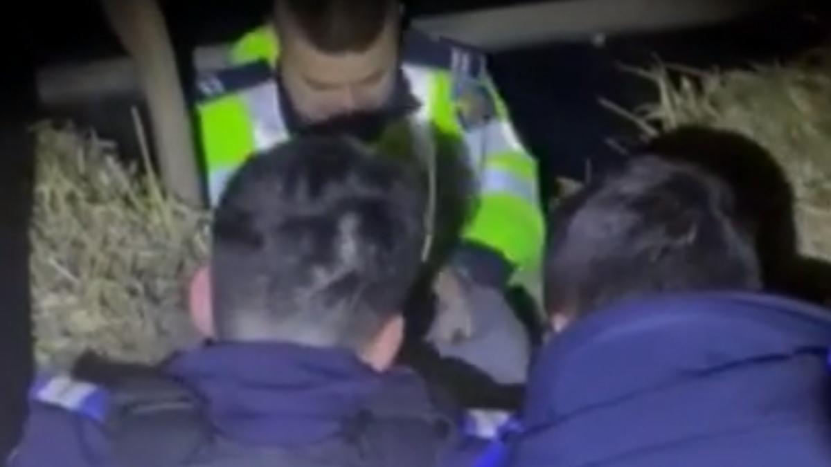 individul periculos care a ucis un om cu o drujba pe strada in dolj a fost prins de politisti