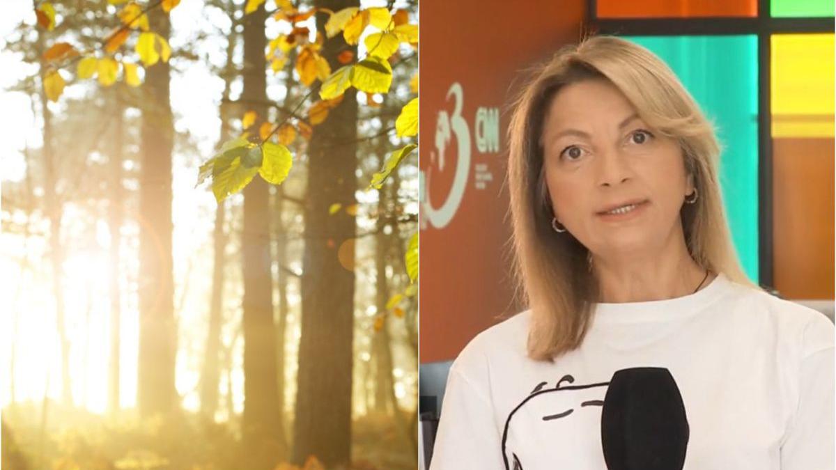 17 grade 1 ianuarie 2023 alina serban anm vreme revelion