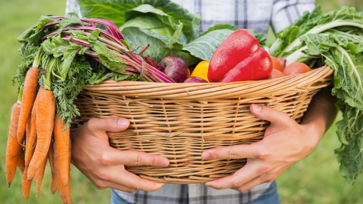 Mâncarea de anul viitor, în pericol | Avertismentul unui fost ministru al Agriculturii