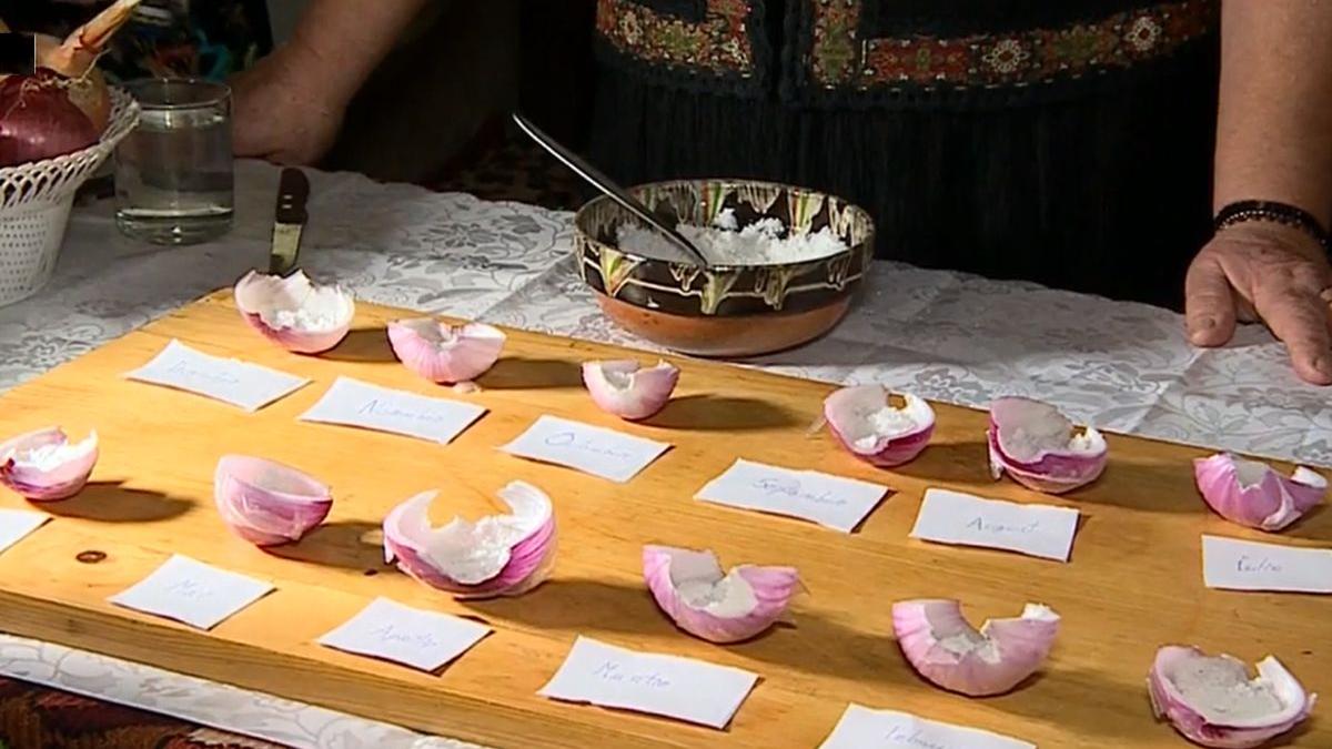 calendar foi ceapa 2023 seceta