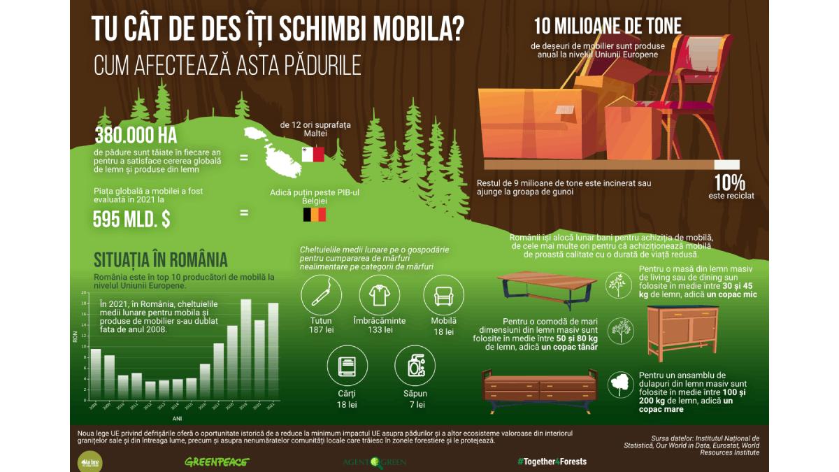 industria mobilei care este impactul asupra padurilor