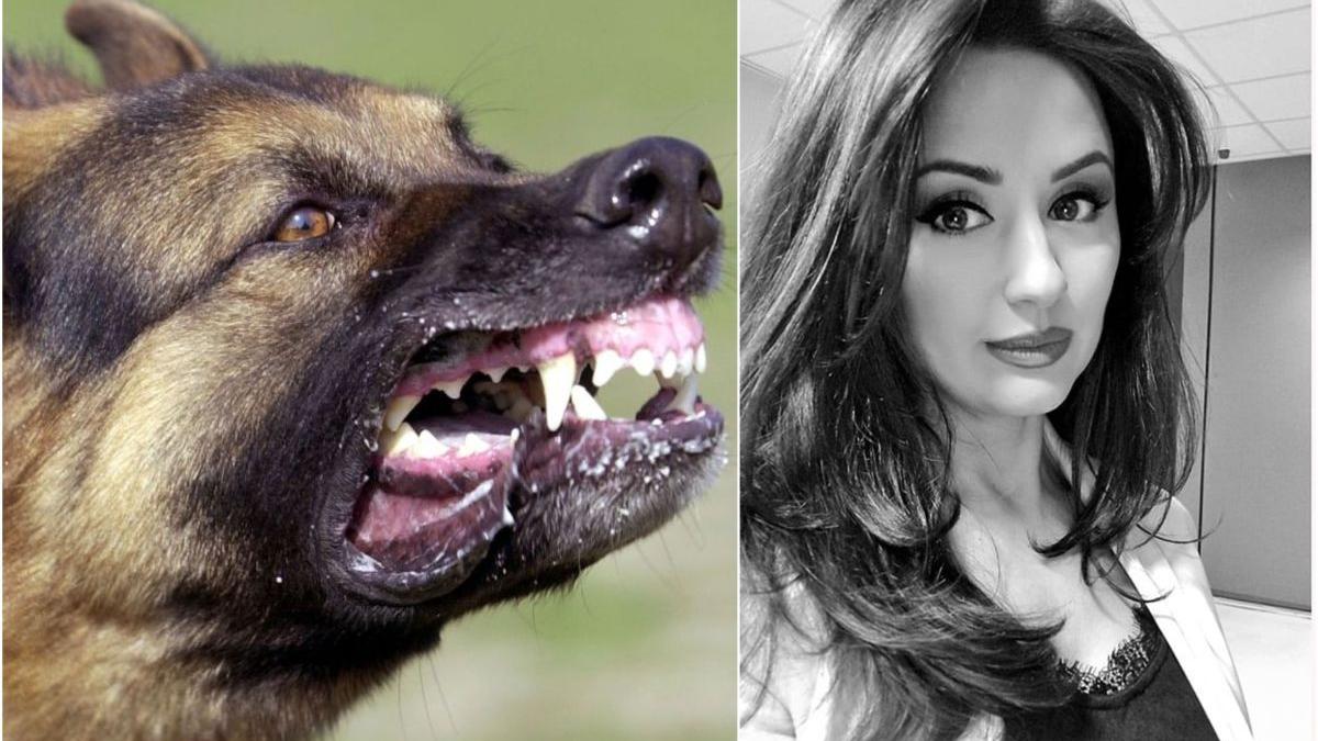 prezentatoare tvr atacata caini bucuresti