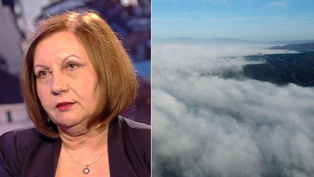 prognoza meteo ianuarie 2023 director anm elena mateescu
