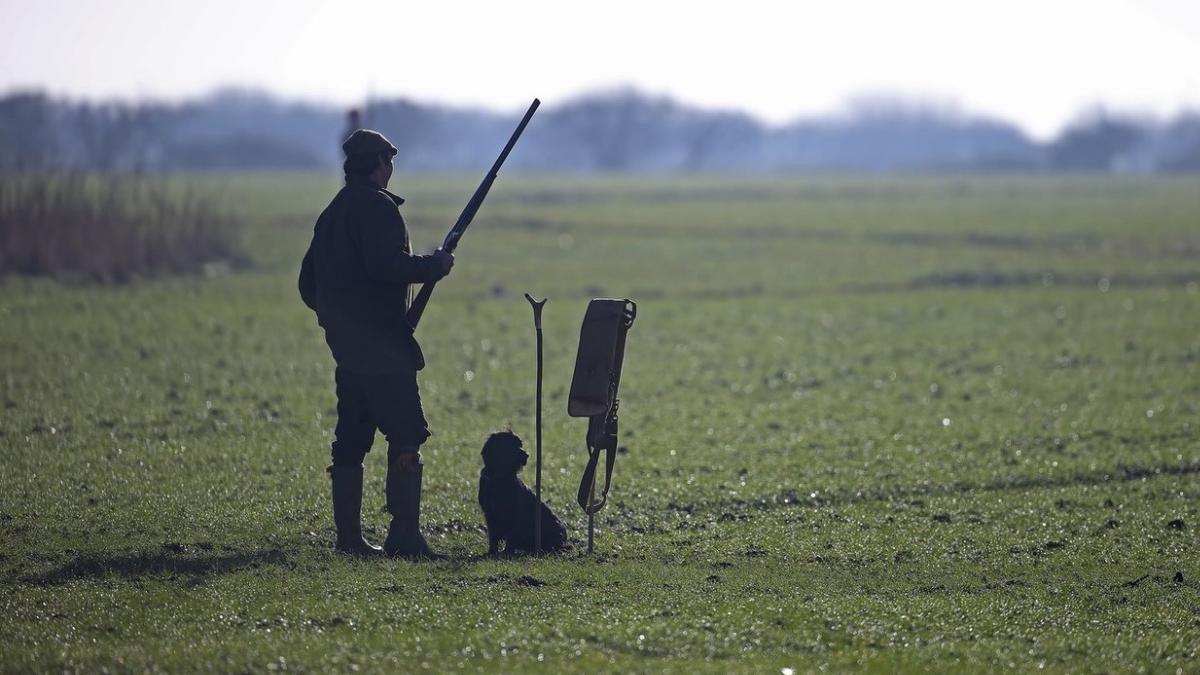 barbat impuscat mortal partida vanatoare neautorizata crivina timis