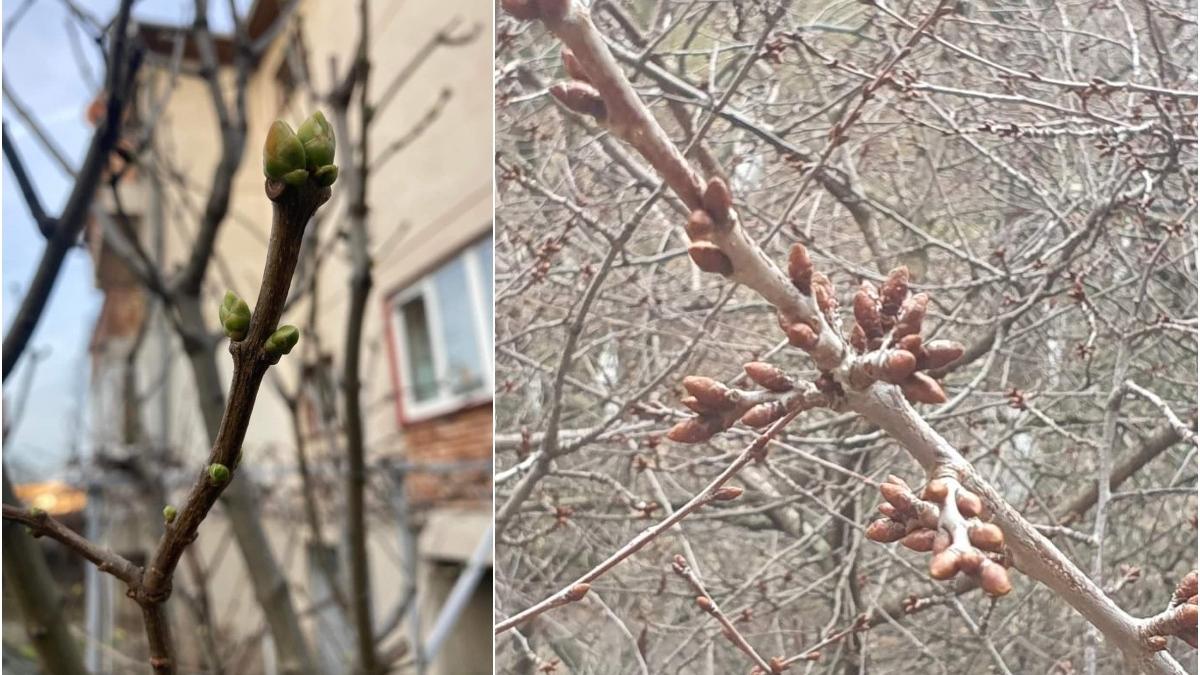 cea mai calduroasa zi 1 ianuarie din istorie romania