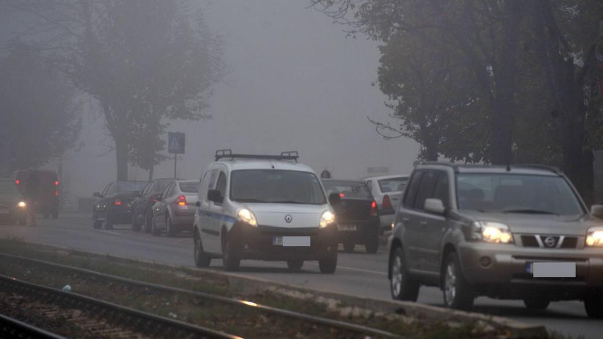 cod galben ceata fenomen periculos