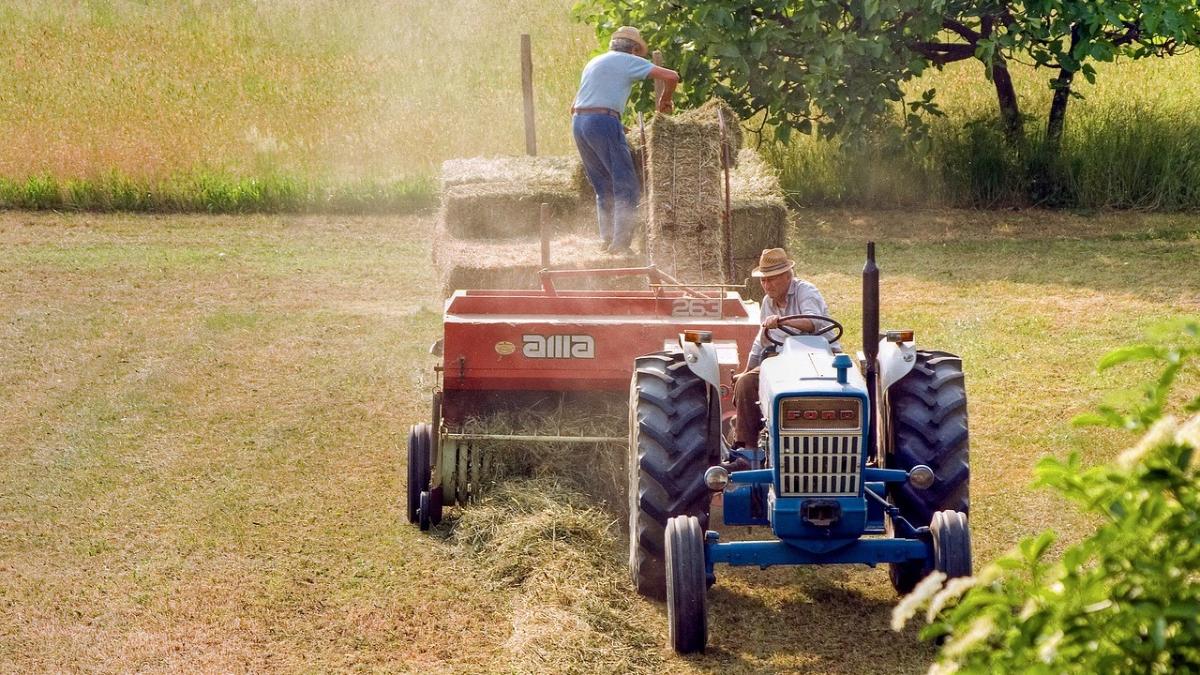 fermieri romani vor primi 12 euro hectar cine beneficiaza subventie