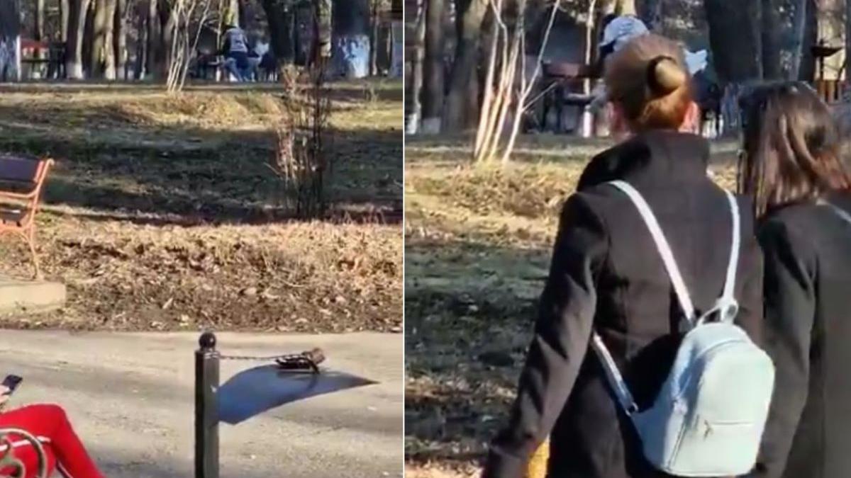 scene ireale parc onesti parinti bunici copii plimbare