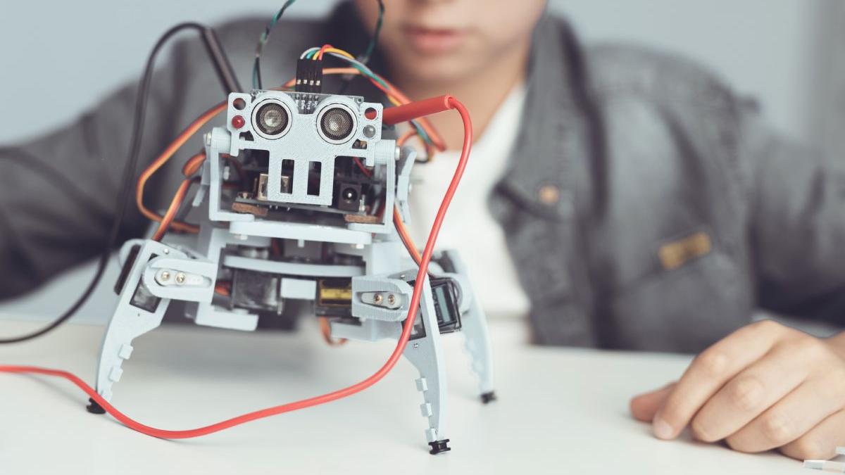 campioni mondiali robotica arad fara bursa merit