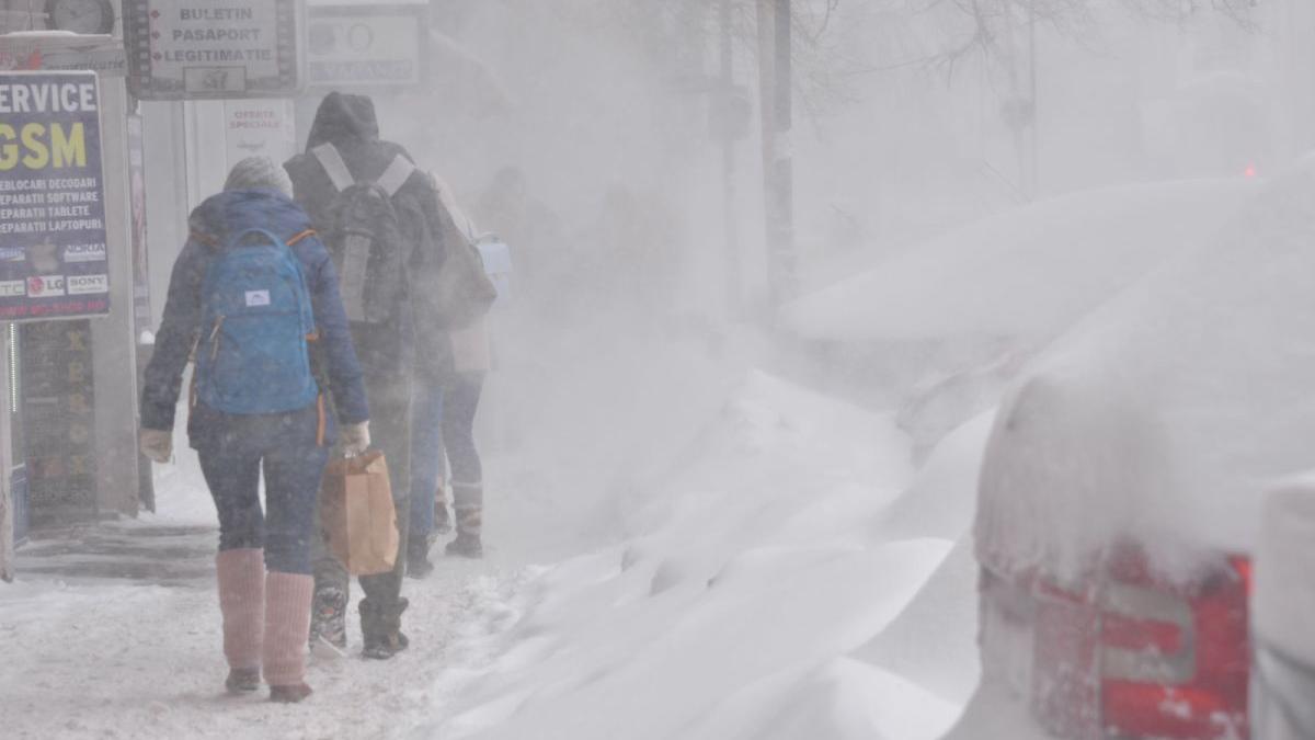 cod galben ninsori viscol 23 judete