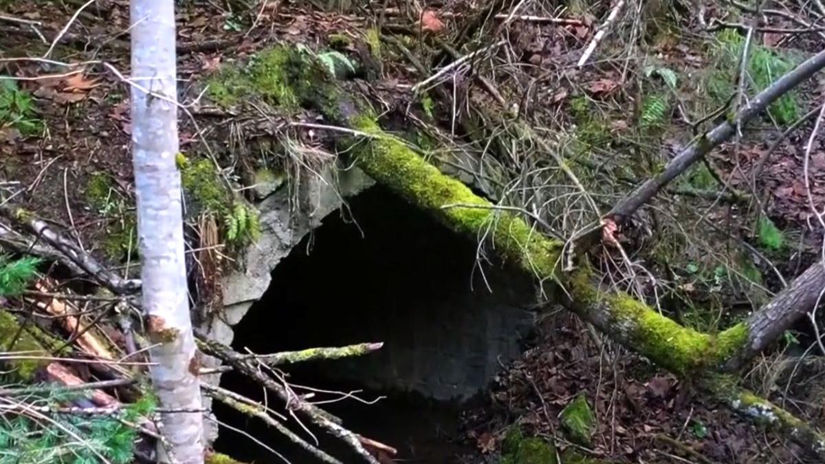 averea romaniei ingropata de interese ascunse incompetenta mina uraniu tulghes grinties