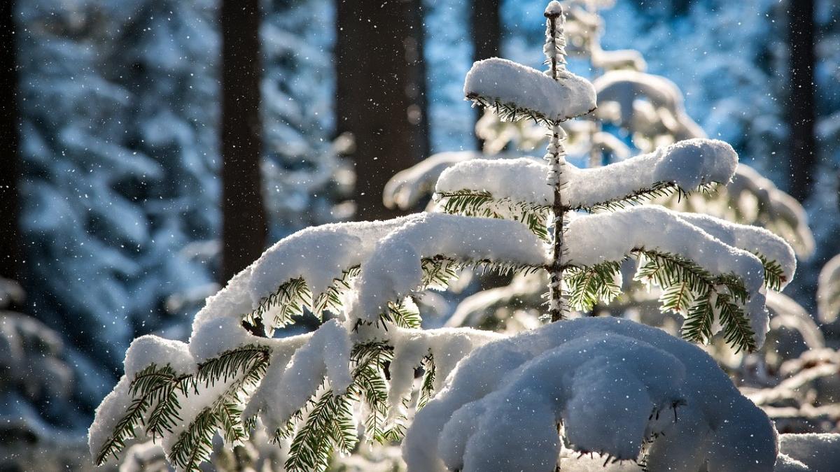 prognoza meteo 6 ianuarie 6 februarie 2023