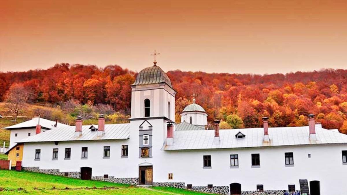 document de legamant cu blestem ips irineu manastire frasinei