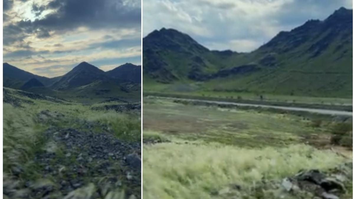 fenomen rar surprins la mecca imagini cu desertul inverzit