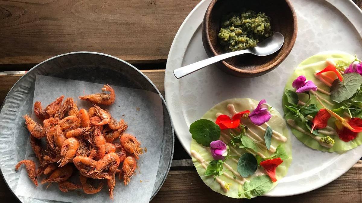 restaurant noma copenhaga se inchide 2024