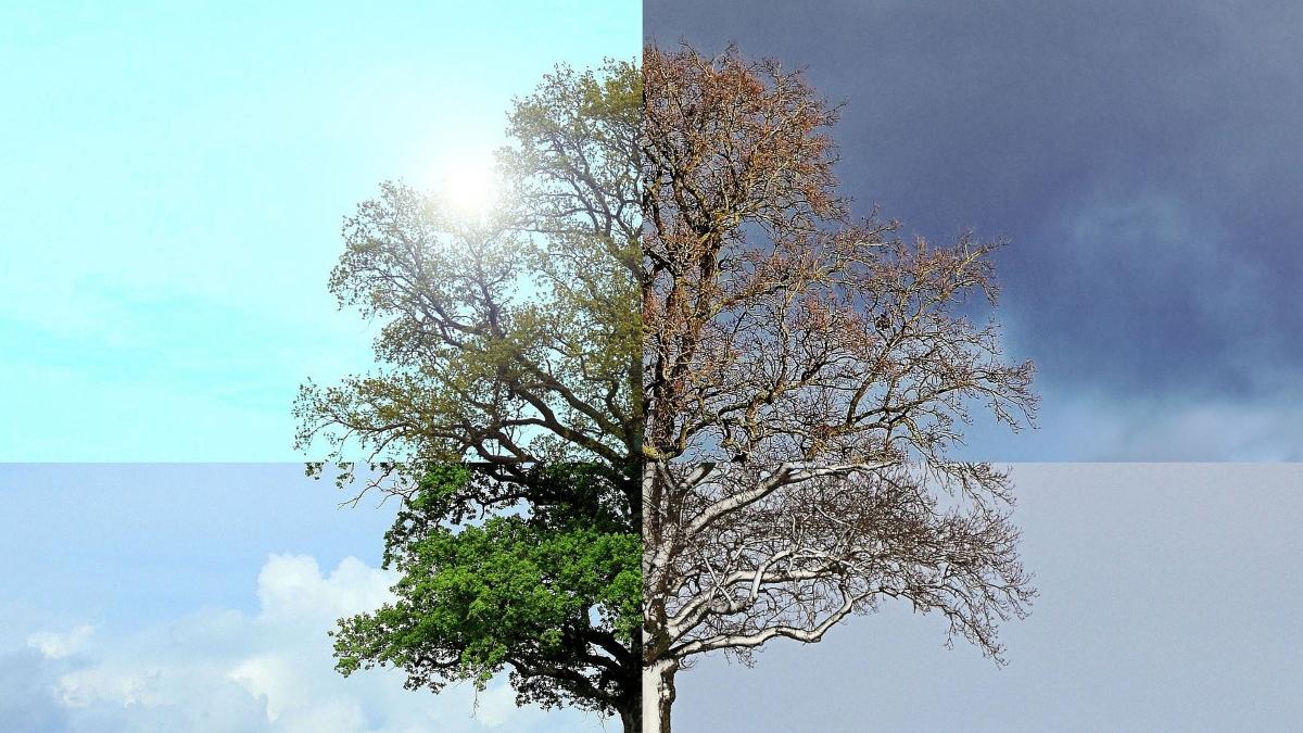 anm prognza meteo vremea romania cod portocaliu ninsori vreme weekend la munte