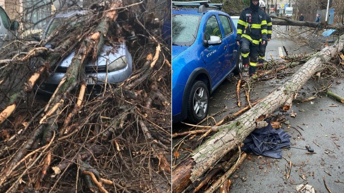 copac urias prabusit centura bucuresti masina persoane ranite