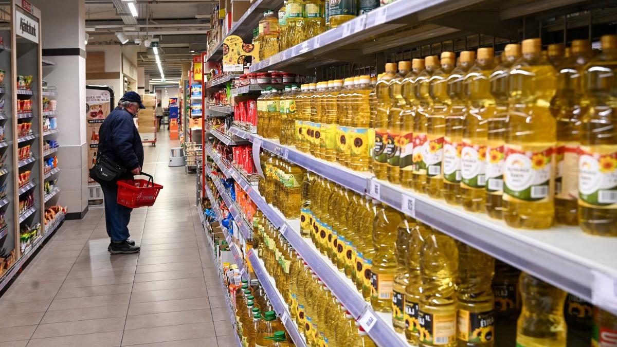 ins venituri medii gospodarii 6668 lei 2022