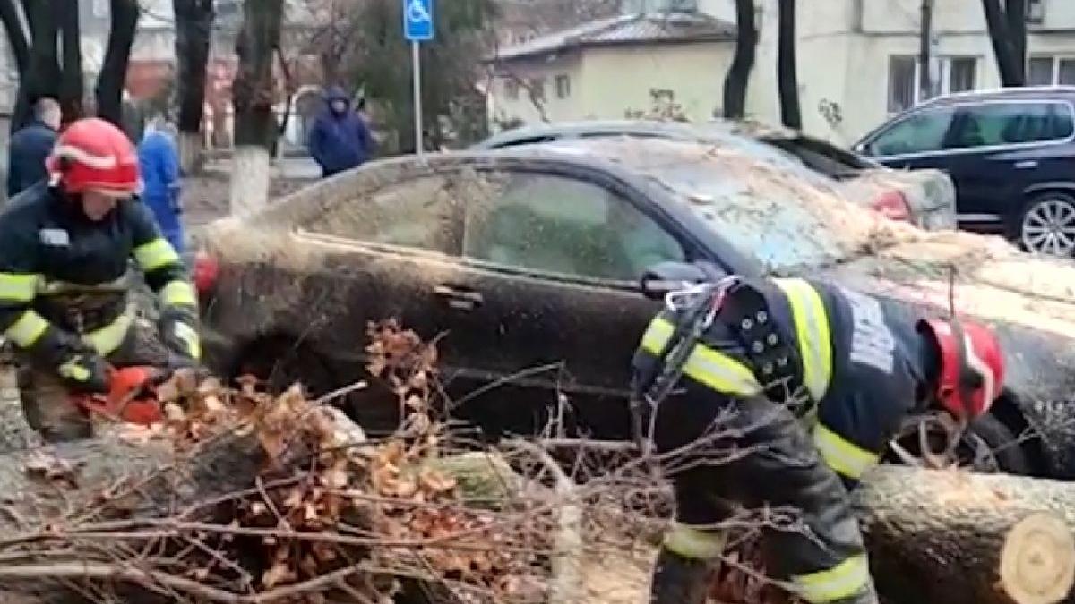 interventie urgenta buzau copac rupt vant distrus patru autoturisme