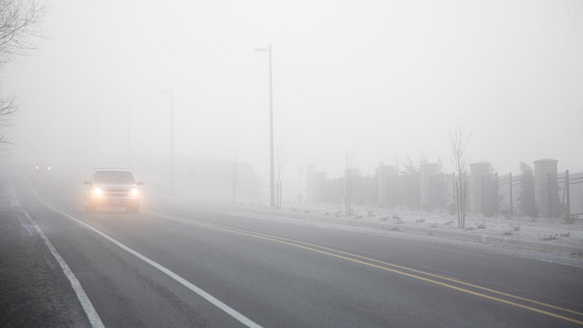 cod galben ceata noapte moldova