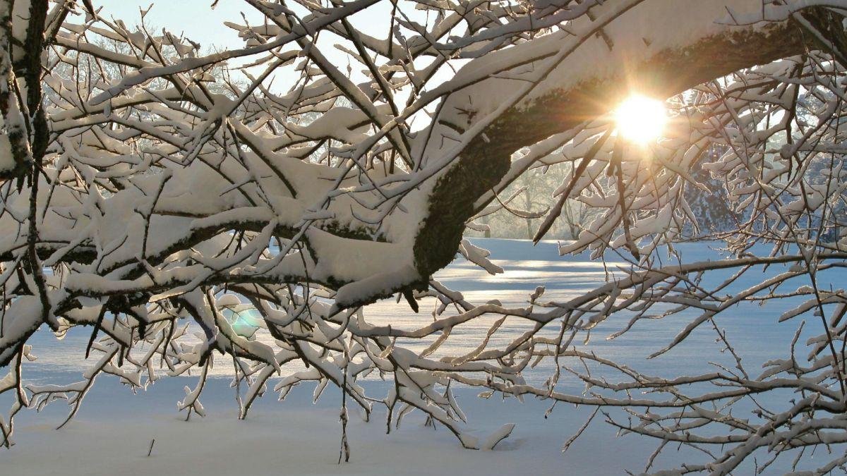 prognoza meteo vremea ninsori lapovita frig
