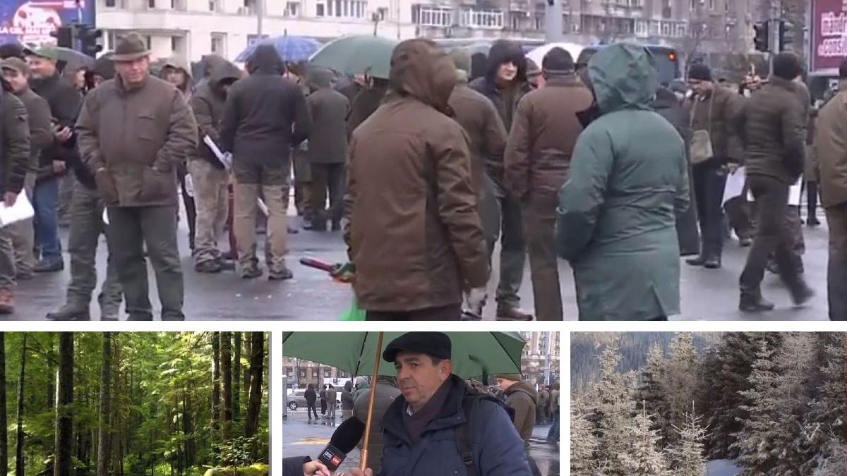 protest silvicutori guvern decizie privatizare paduri