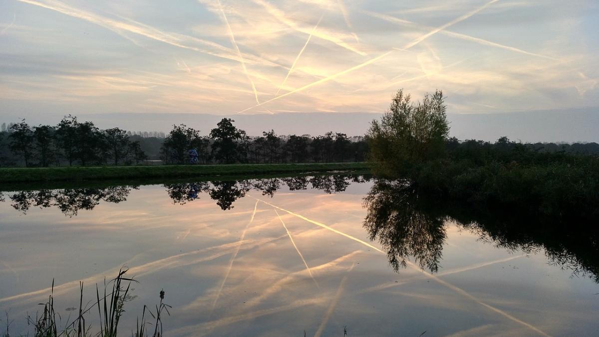 daunatoare mediu linii albe ramase cer avioane