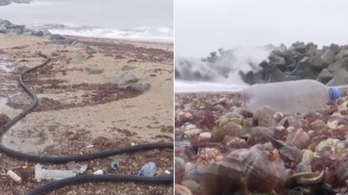 imagini dezolante litoral mare tone deseuri