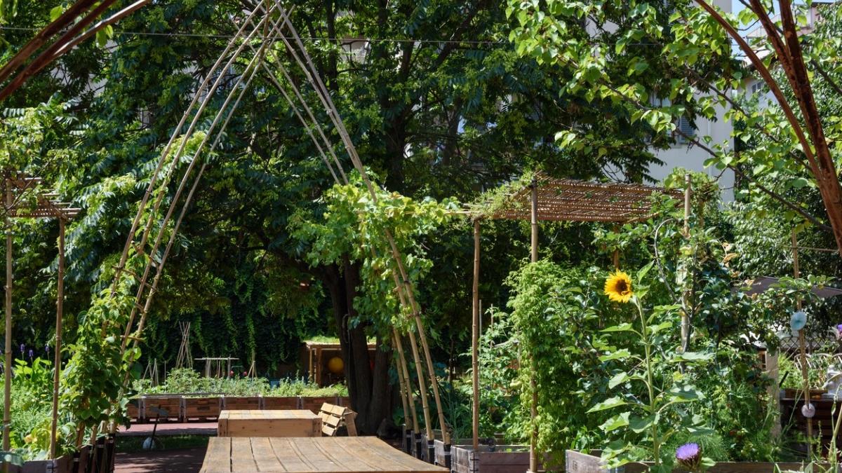 premiera romania gradini urbane finantate comisia europeana bauhaus