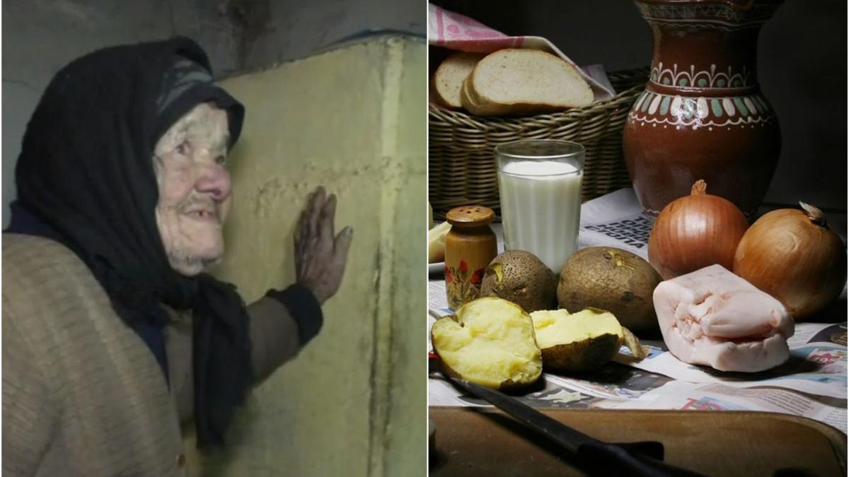 scumpiri paine carne lapte