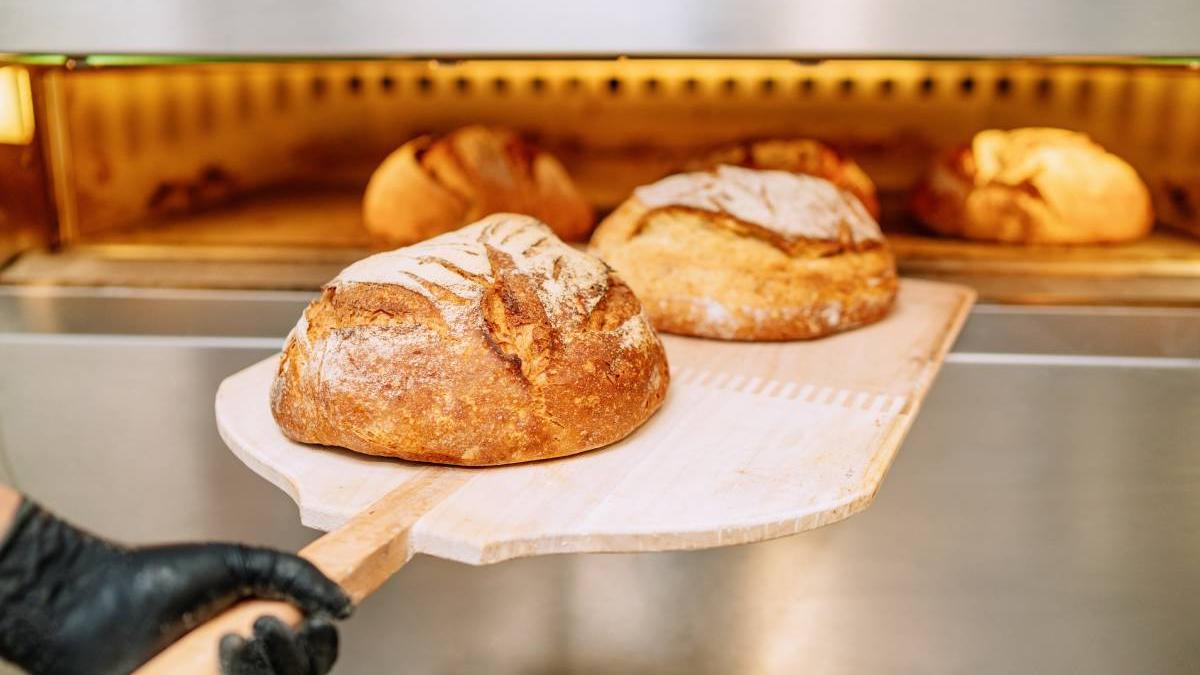 cel mai mare producator de paine romania vel pitar vandut