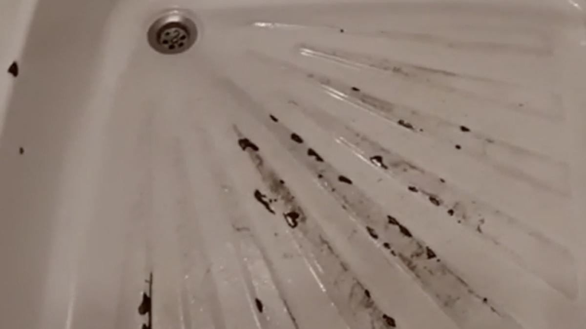 batrani camine insalubre nereguli grave cluj inspectori protectia consumatorului