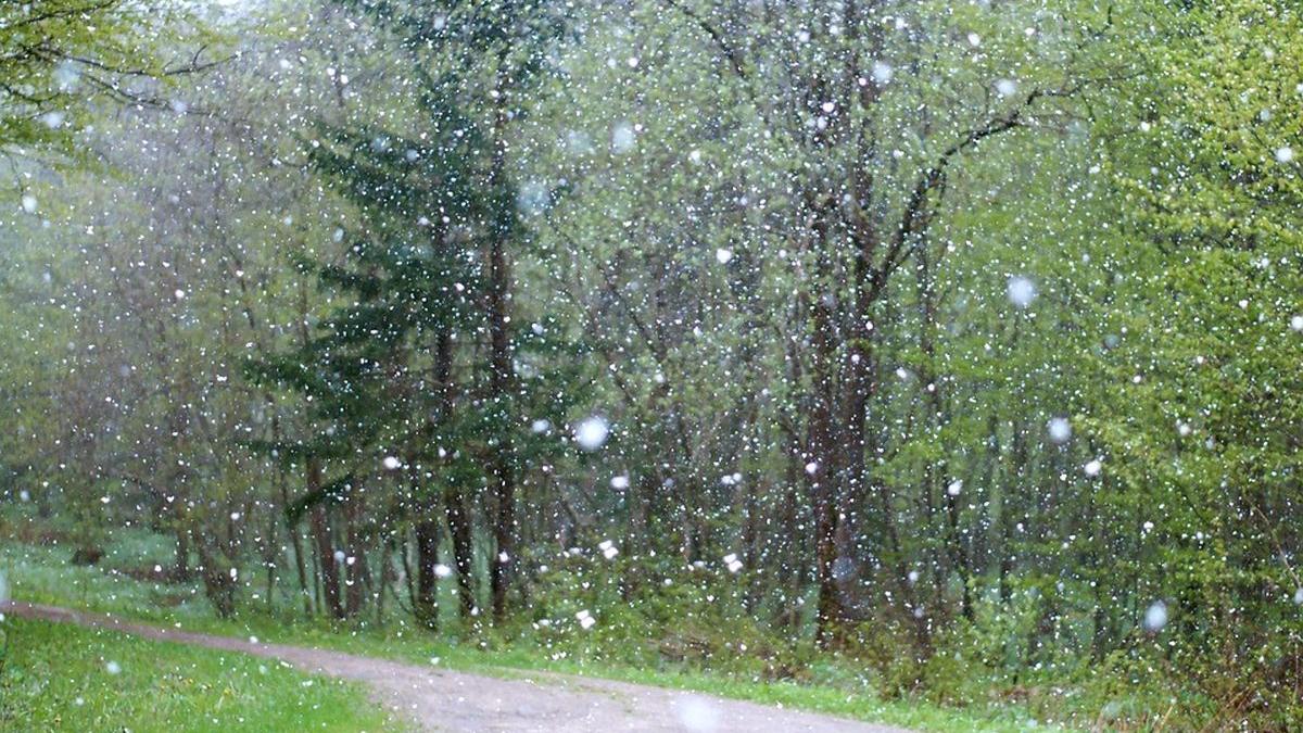 vreme schimbare radical prognoza meteo 16 29 ianuarie 2023