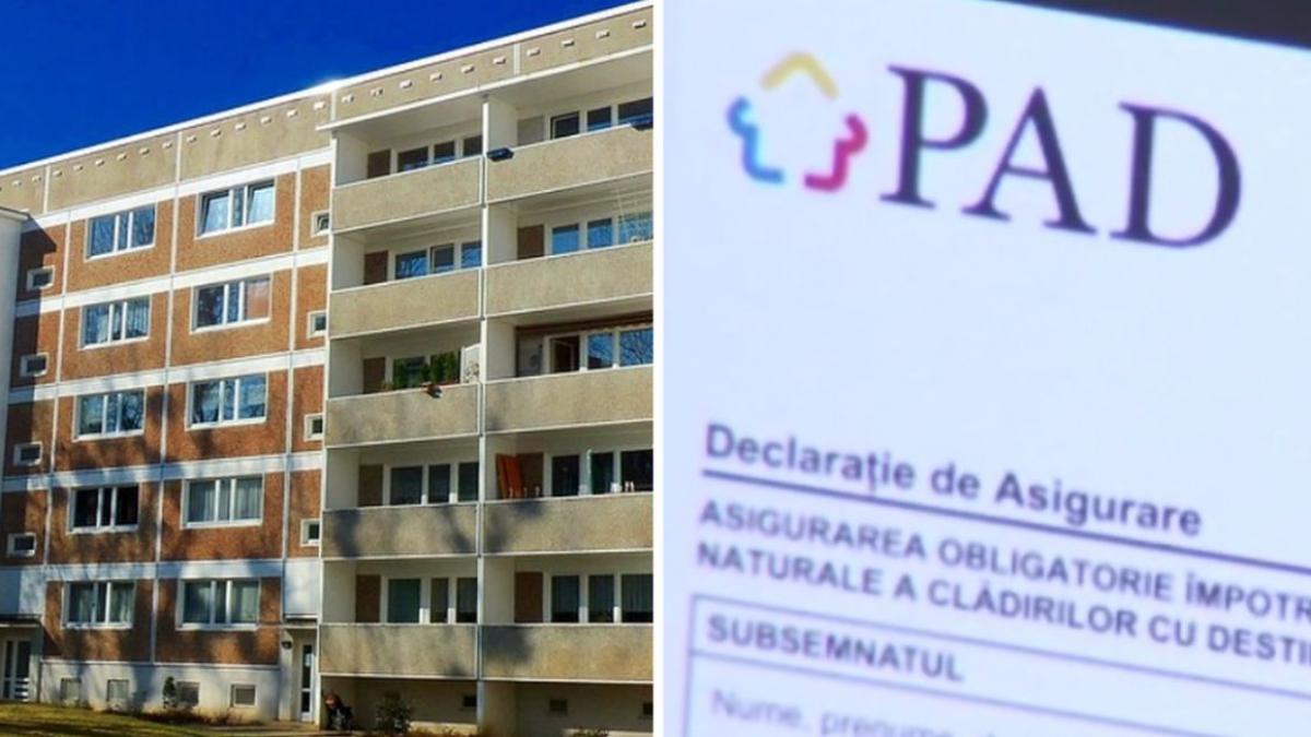 case romani asigurate dezastru natural proprietari