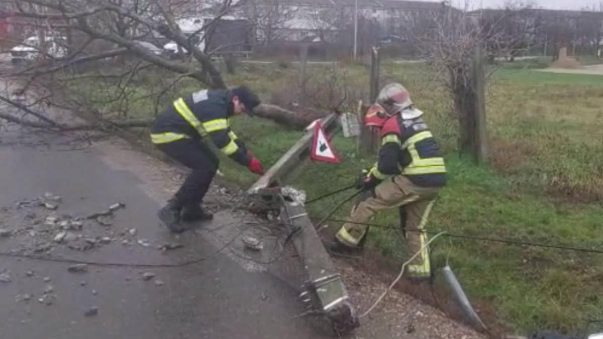 stalpi copaci cazuti oradea bihor marghitei alesdului