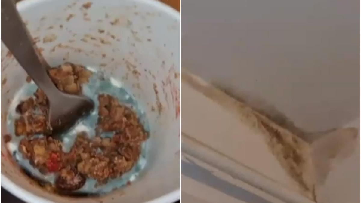 mancare mucegaita afterschool sectorul 2 anpc bucuresti