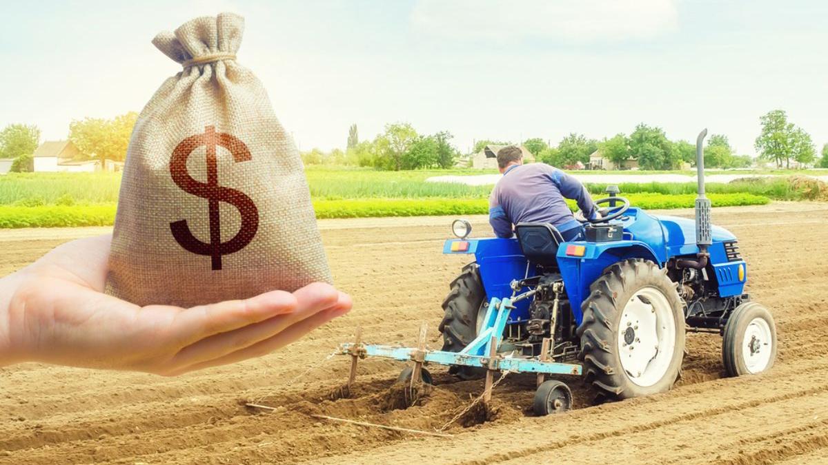 cum obtii credit afacere agricola