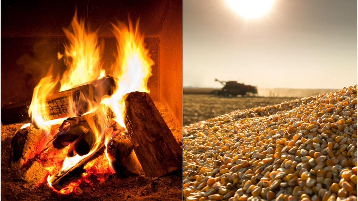 metoda reducere costuri caldura coceni porumb