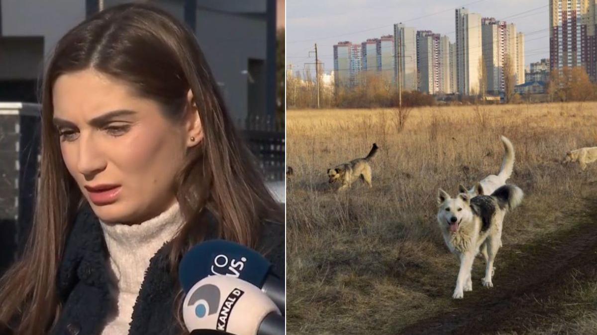 catalina tranescu aspa reactie femeie omorata haita caini lacul morii bucuresti