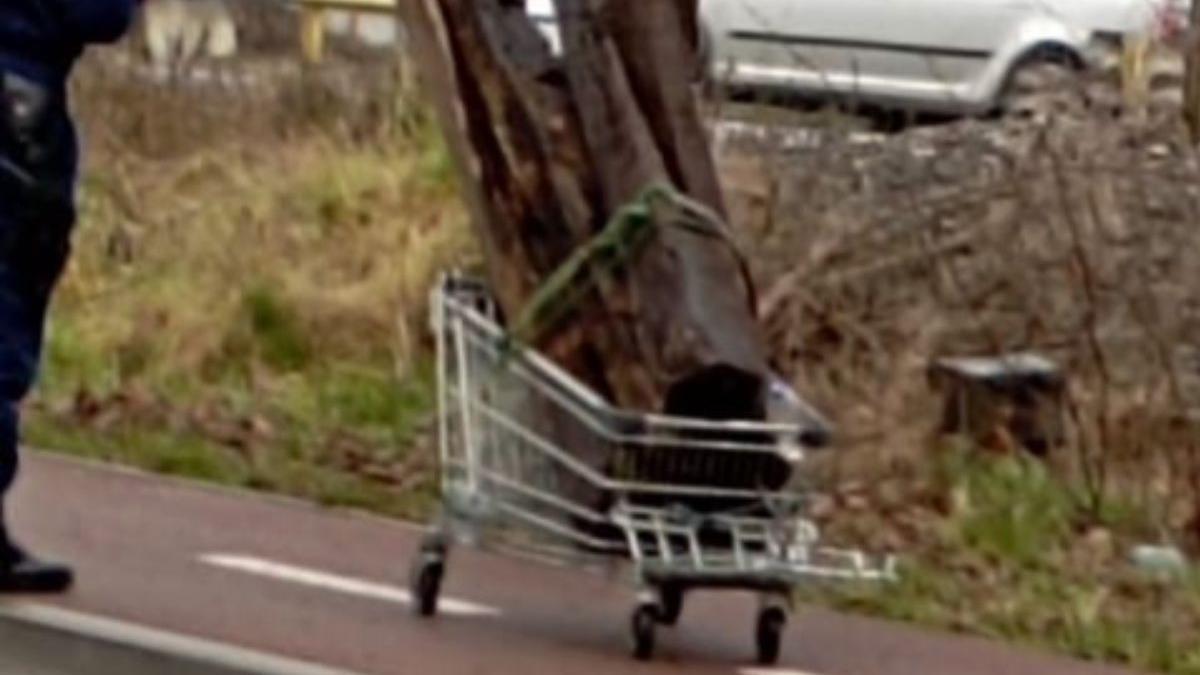 un barbat si o femeie prinsi la furat de traverse de cale ferata