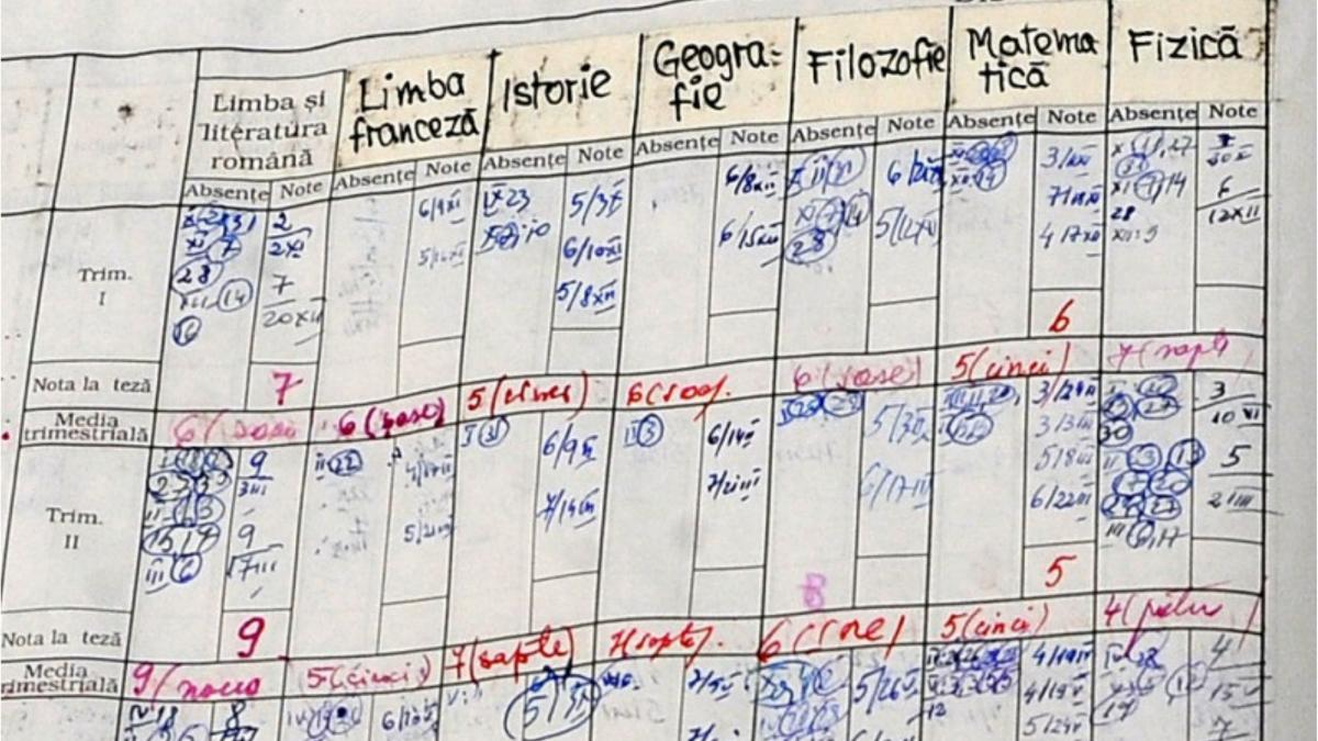 300 de profesori proiect standardizare note invatamant