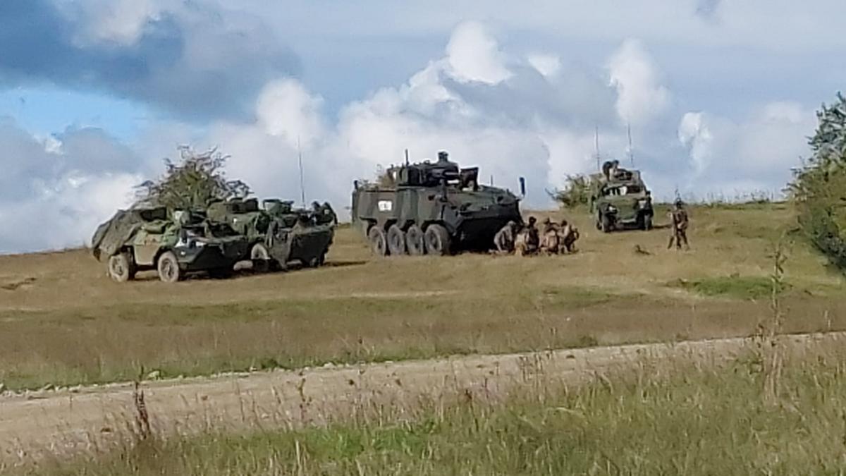 flanc estic nato germania franta soldati romania