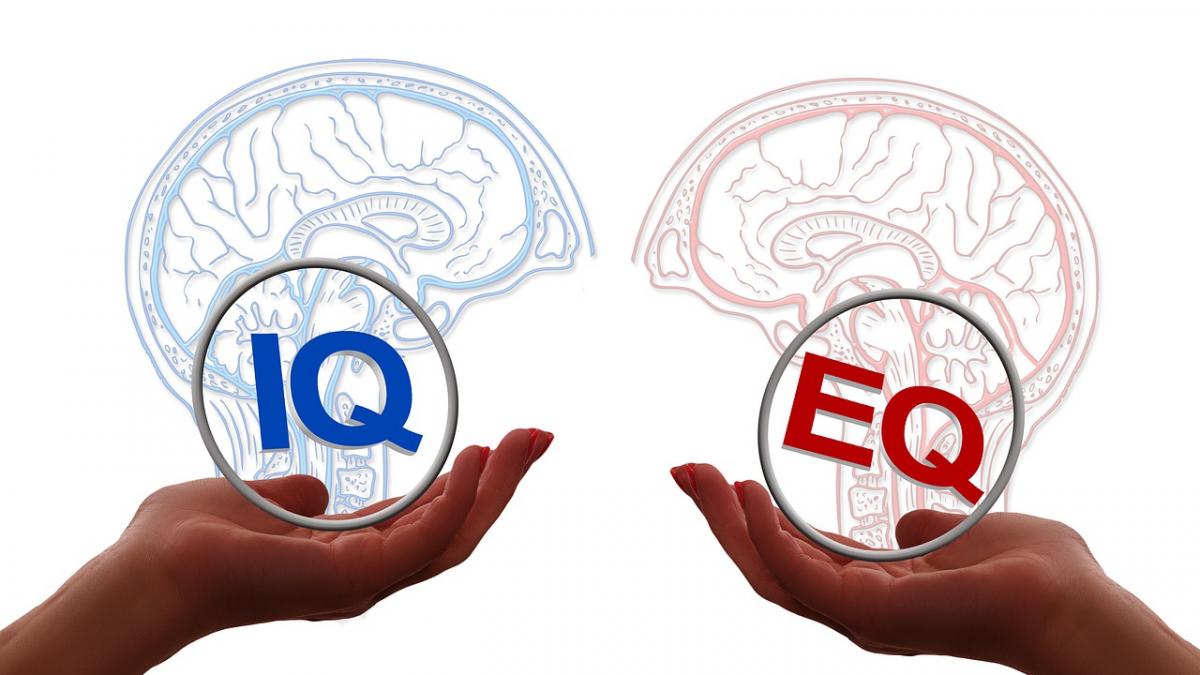 test inteligenta 3 intrebari rezolvare