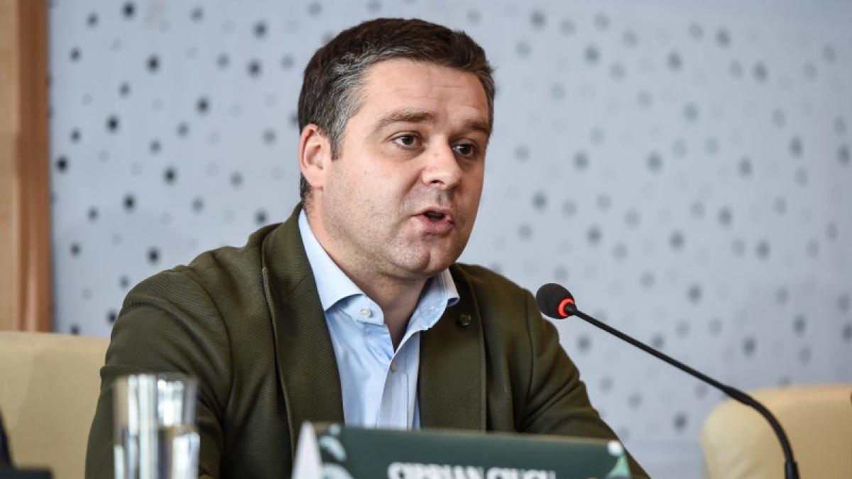 ciprian ciucu aspa diana punga sector 6