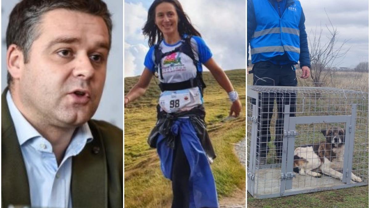 ciprian ciucu si aspa acuzatii grave cu privire la tragedia de la lacul morii ana oros ucisa haita